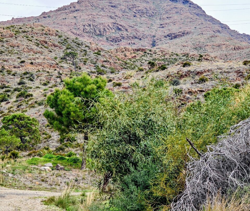 Dolmenes de Corominas-埃斯特波纳必去景点