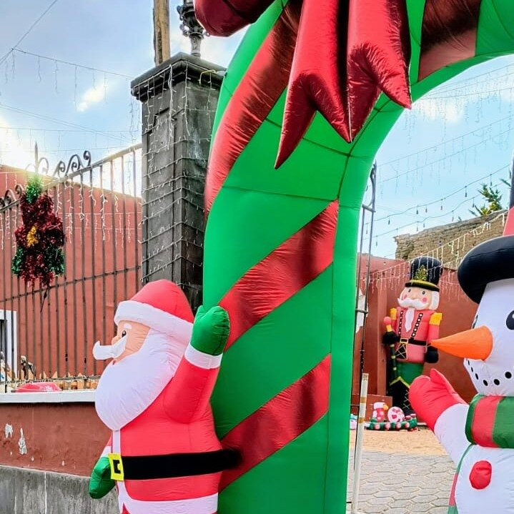 Santuario de las Luciérnagas - Bosque Mágico