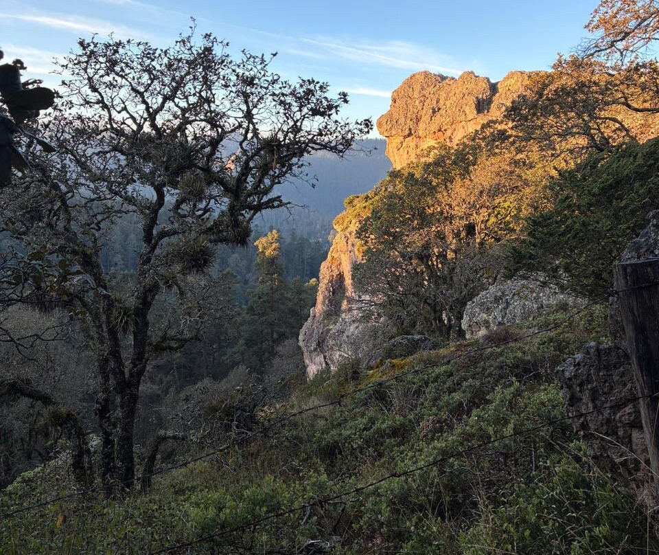 El Chico National Park-Pluma Hidalgo必去景点