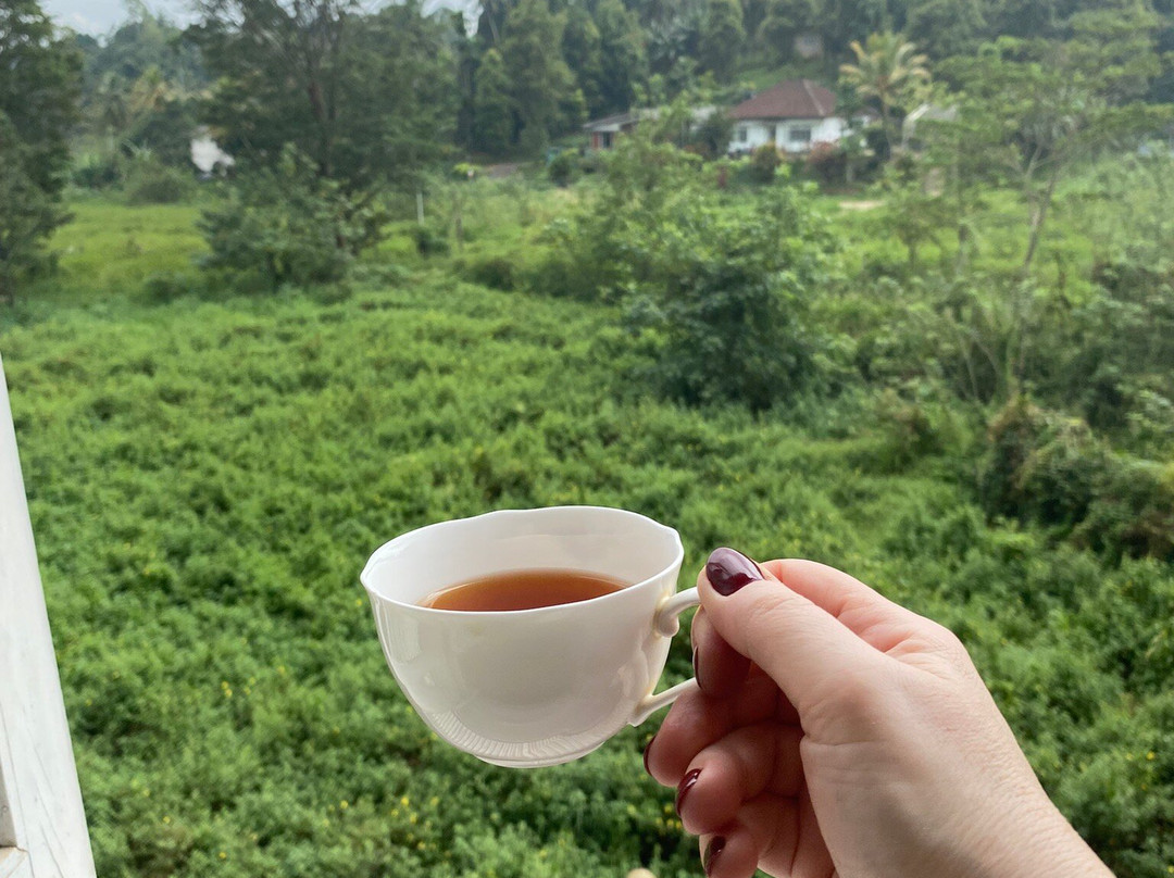 Palm Lanka Tours-Daluwakotuwa必去景点