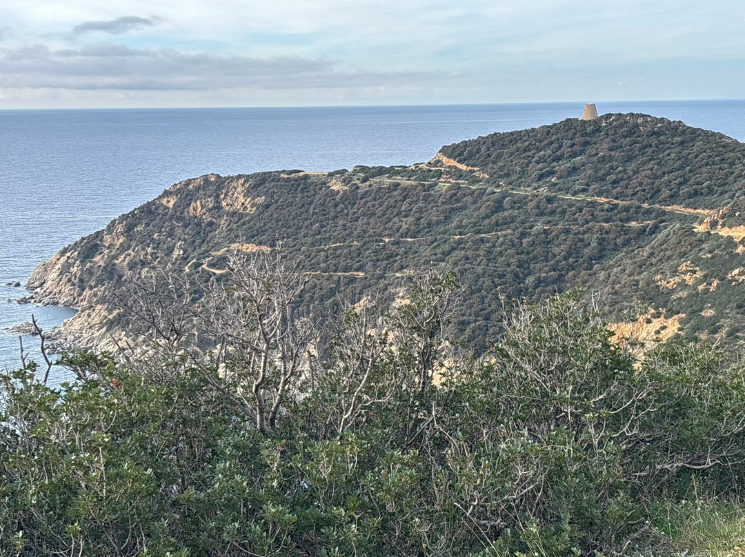 SardiniaCycling-夸尔图－圣埃莱娜必去景点