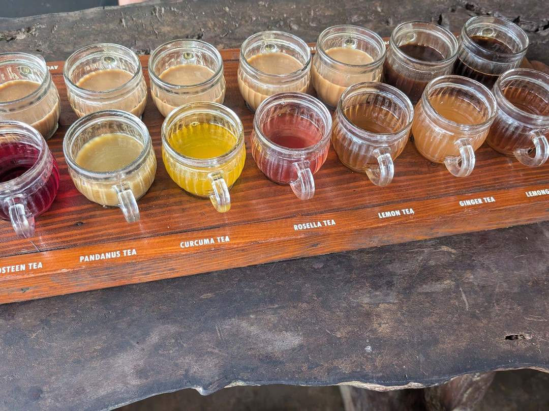 Balitabiyotour-乌布必去景点