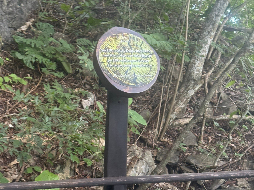 Cachoeira do Buraco do Macaco-Bodoquena必去景点