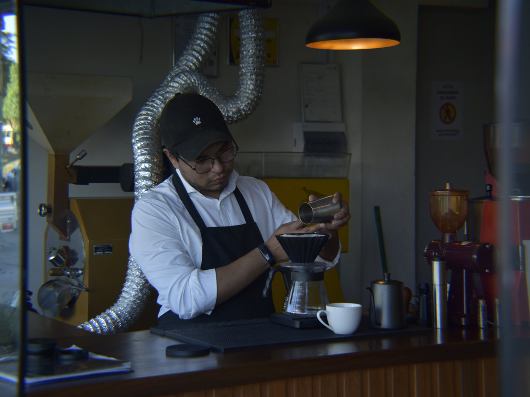 Café Ancestral - Coffee Roaster