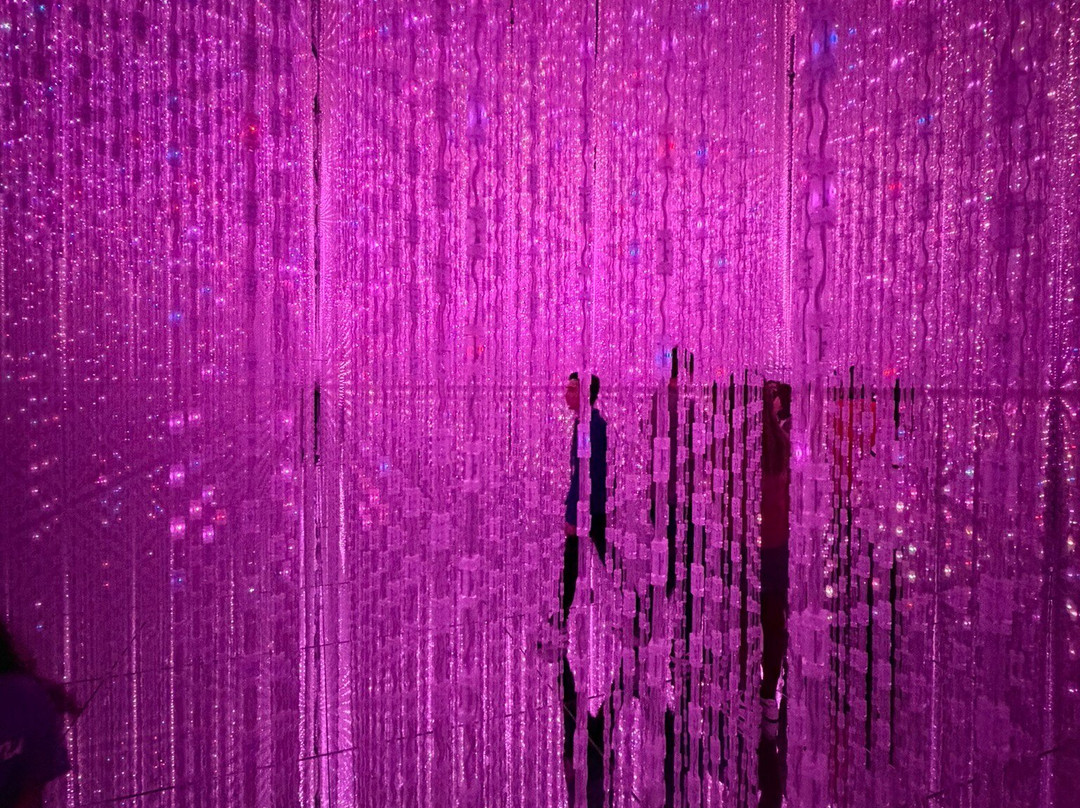 Teamlab Borderless Tokyo Azabudai Hills-港区必去景点