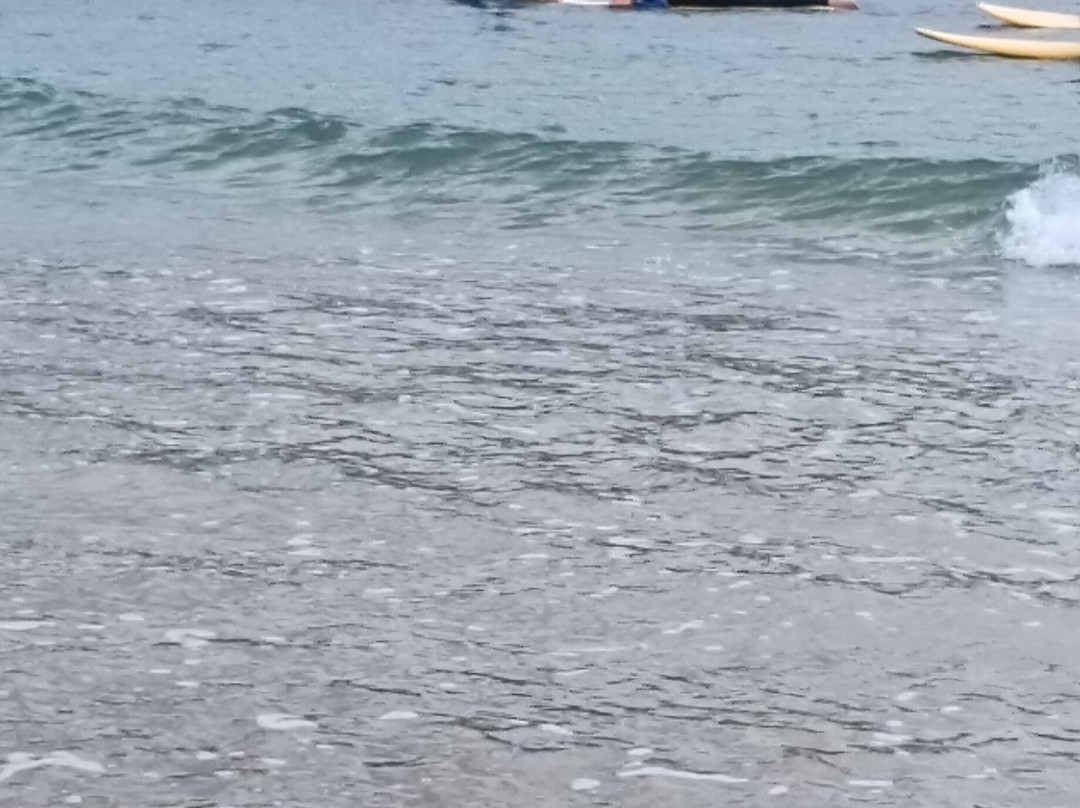 Apollo Bay Surf and Kayak-阿波罗湾必去景点