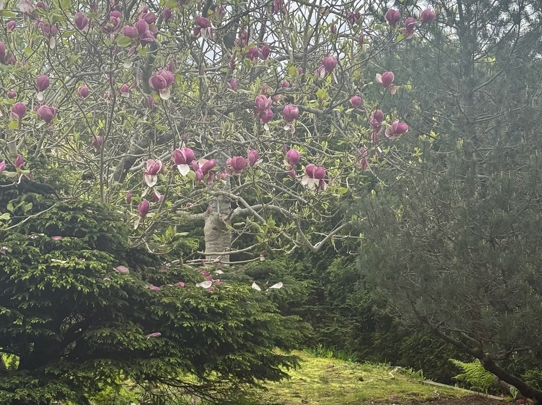 The Castine Inn主图