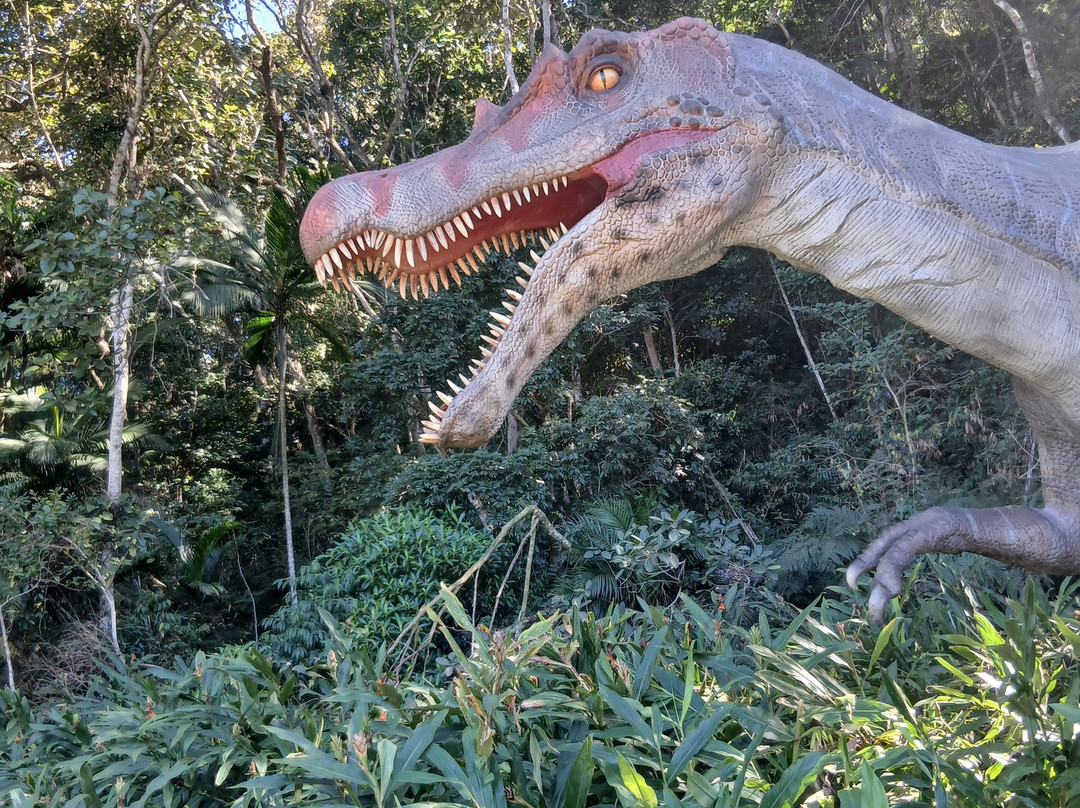 Aventura Jurássica-康泊琉海水浴场必去景点