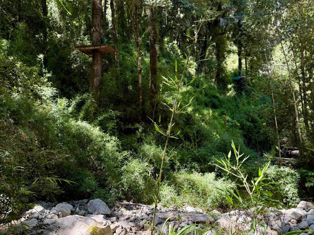Villa Peulla Canopy-Peulla必去景点