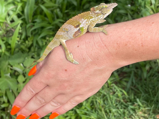 Usambara Eco Tours-卢绍托必去景点