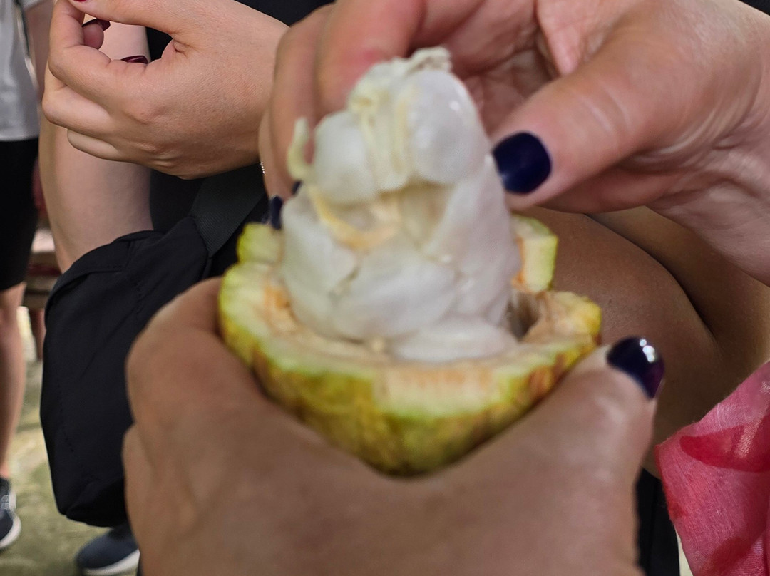 Mekong Realism-芹苴必去景点