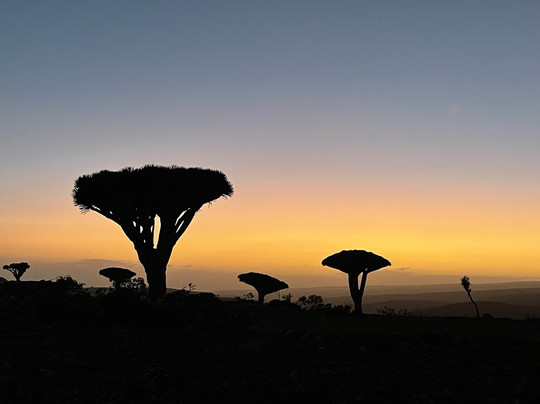 WelcomeToSocotra-索科特拉岛必去景点