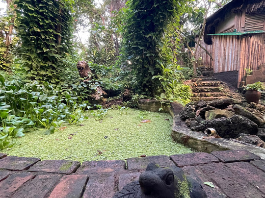 Great Huts Eco Resort主图