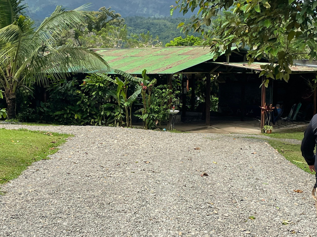 Allan Adventures-La Cruz必去景点