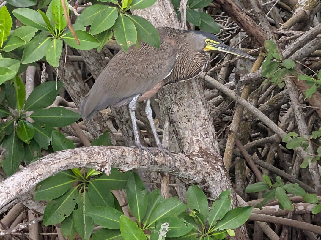 Taxi Personalizado-巴利亚多利德必去景点