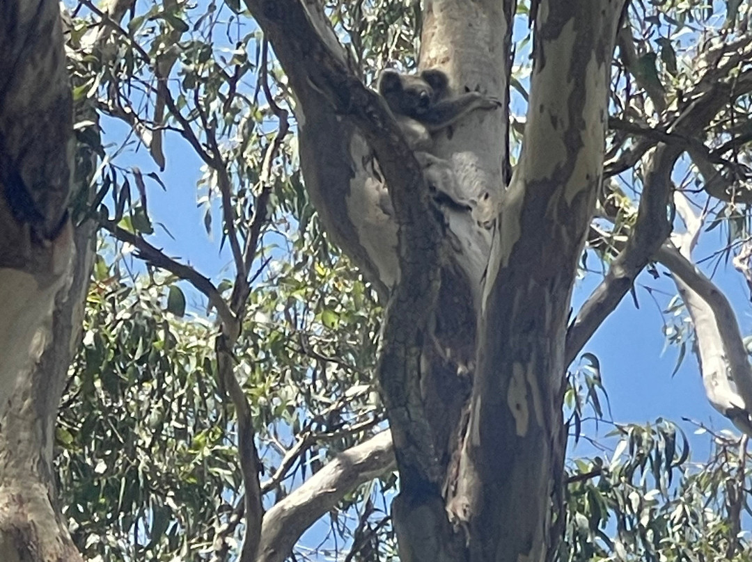 Indie Campers-Povoa de Santa Iria必去景点