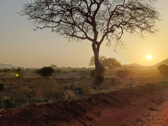 Safari Kenya roberto toba-瓦塔木必去景点