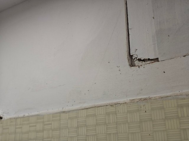 Pearl Park Beach Resort-官方