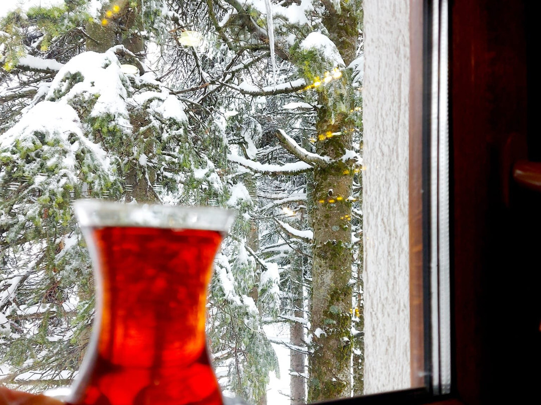 Bursa Teleferik-布尔萨必去景点