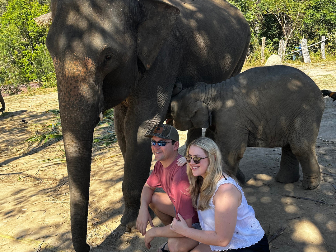 Pon Elephant Thailand-清迈必去景点