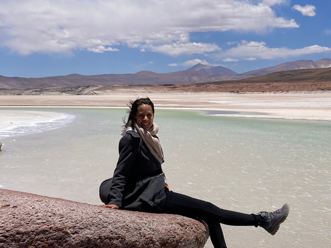 Piedras Rojas-圣佩德罗-德阿塔卡马必去景点