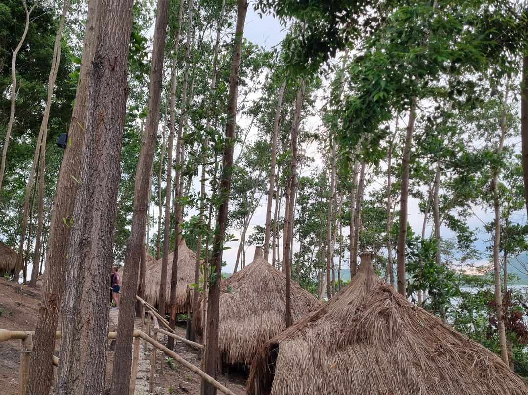 Big Dream Boatman-科隆必去景点