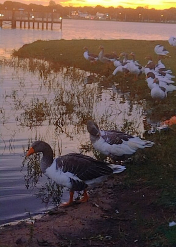 Lagoa Maior-特雷斯拉瓜斯必去景点