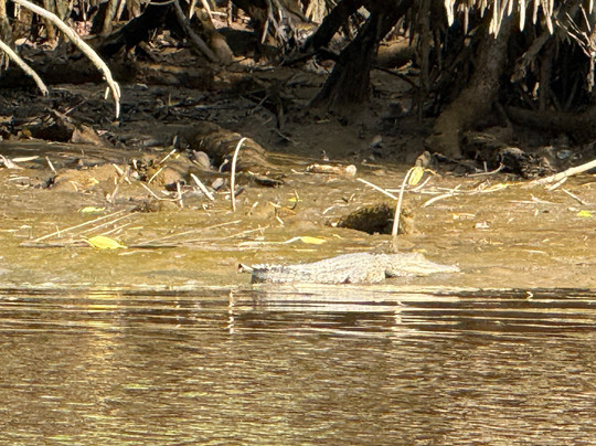 Brunei River-斯里巴加湾必去景点