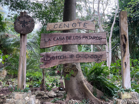 Cenote La Casa De Los Pájaros