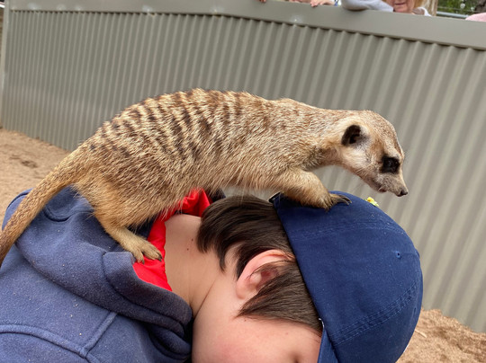 Ballarat Wildlife Park-巴拉瑞特必去景点