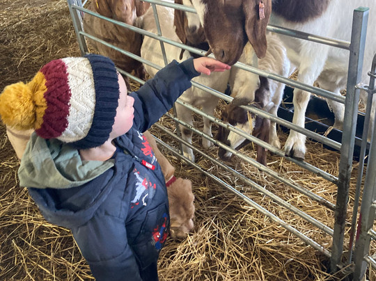 Newton Farm Holidays & Tours主图