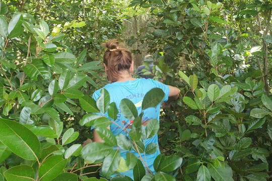 Ujung Kulon Trek-Carita必去景点