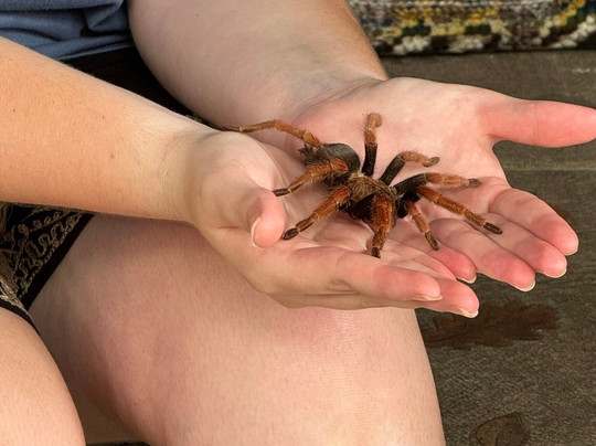 Hidden Mini Zoo Bali-Guwang必去景点