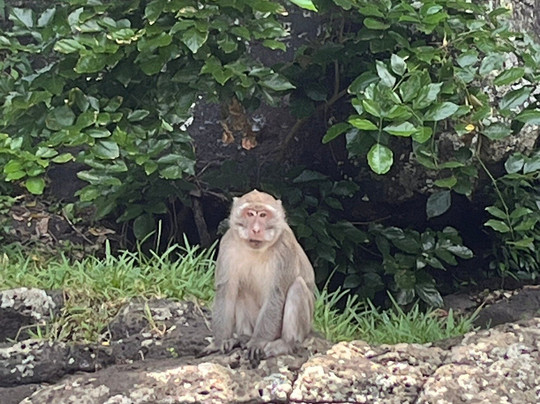 One Love Co Ltd.-毛里求斯必去景点