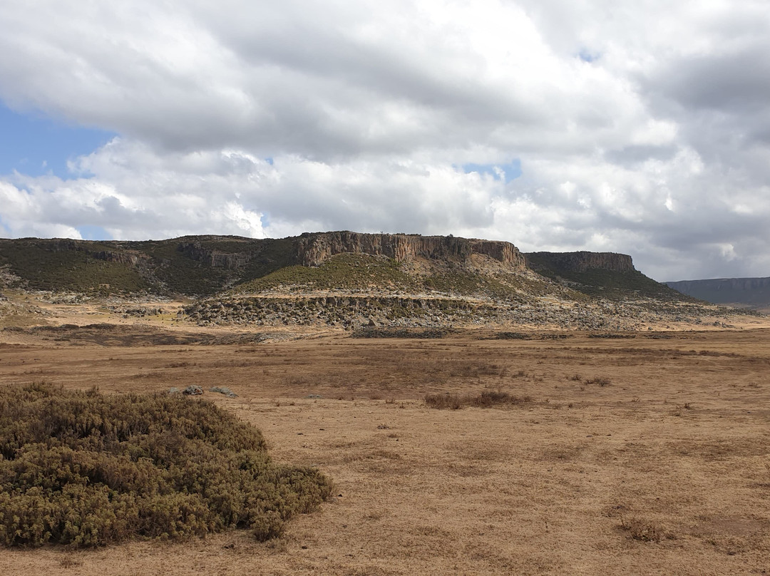 Bale Mountains Tours-Bale Mountains National Park必去景点
