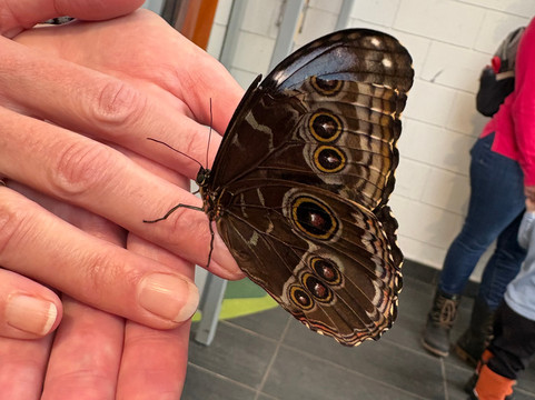 Canadian Museum Of Nature-渥太华必去景点