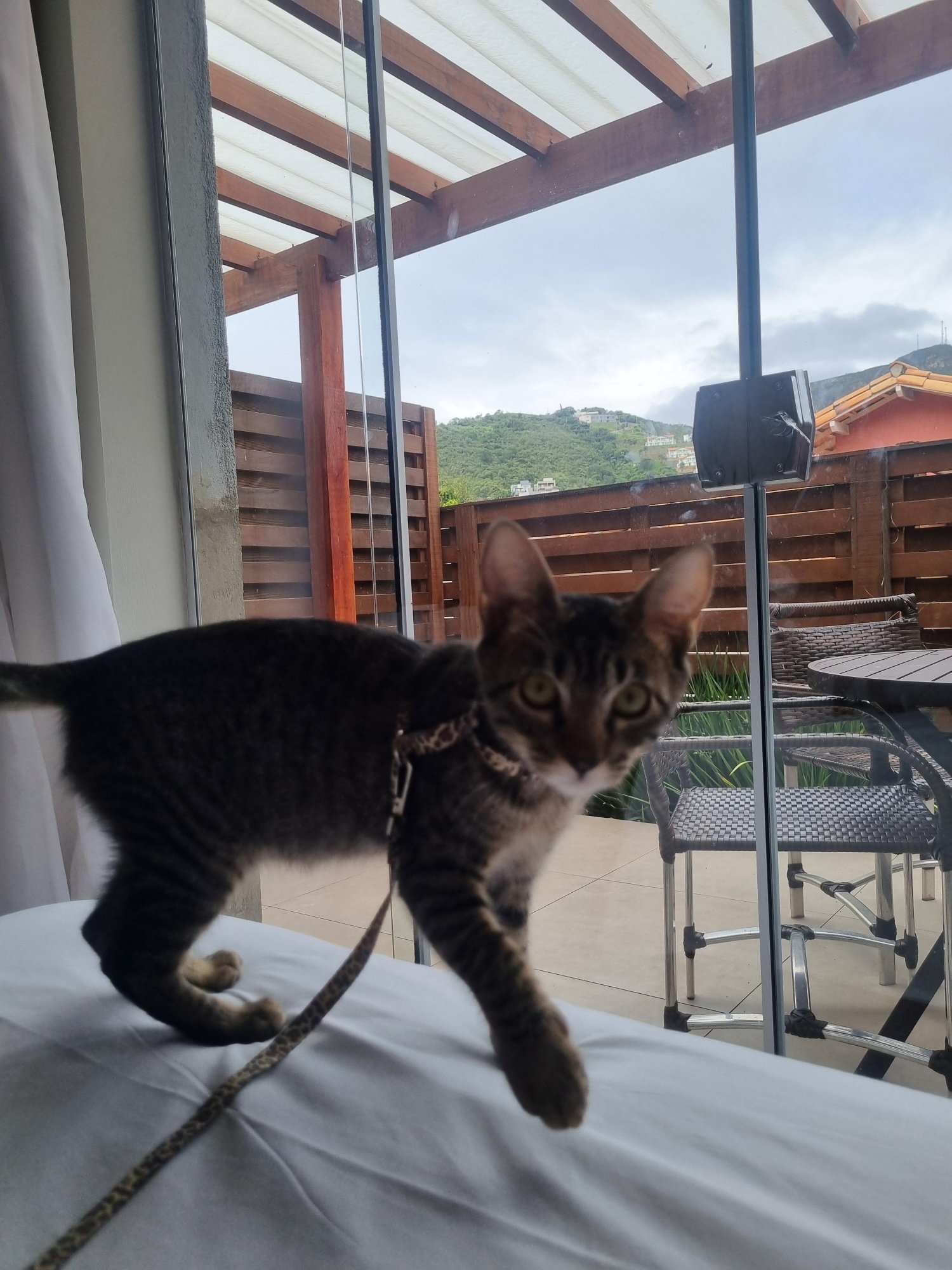 Escarpas Eco Village-官方