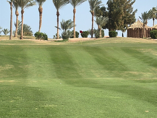 Pickalbatros Golf Course-沙姆沙伊赫必去景点