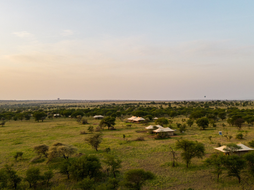 Intimate Camp Seronera