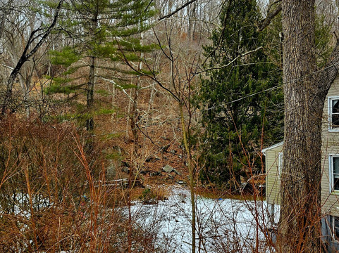 Rowlandsville Fishing Park-Conowingo必去景点