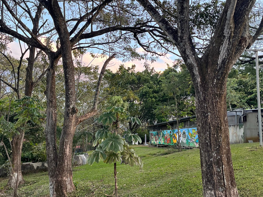 Rescue Center Costa Rica-阿拉辉拉必去景点