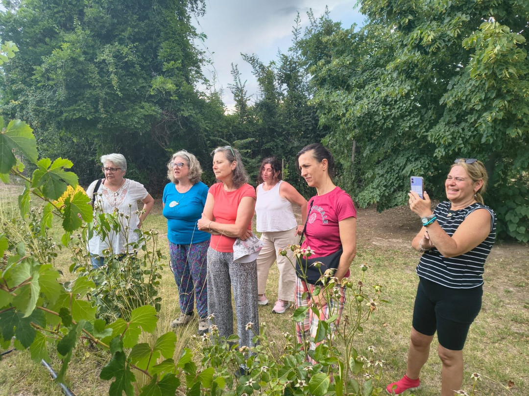 Bodega Familiar Agroecológica De La Tierrita-Eugenio Bustos必去景点