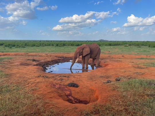Johari Africa Adventures-迪亚尼必去景点