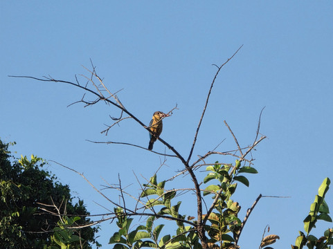 Chinuka Lagoon Safari-美蕊沙必去景点