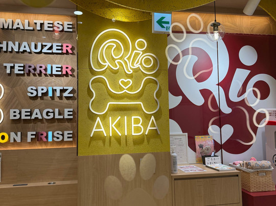 Dog Cafe Rio Akihabara-千代田区必去景点