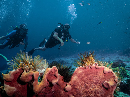 Forra Diving - Day Tour-丽贝岛必去景点