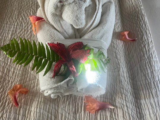 Sunset At The Palms主图