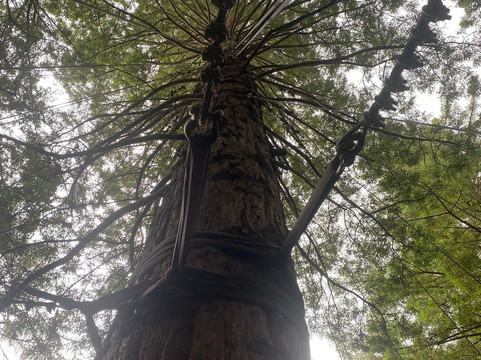 Scott Tours-陶兰加必去景点