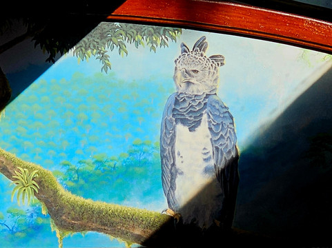 Panama Canal Railway Company-巴拿马城必去景点