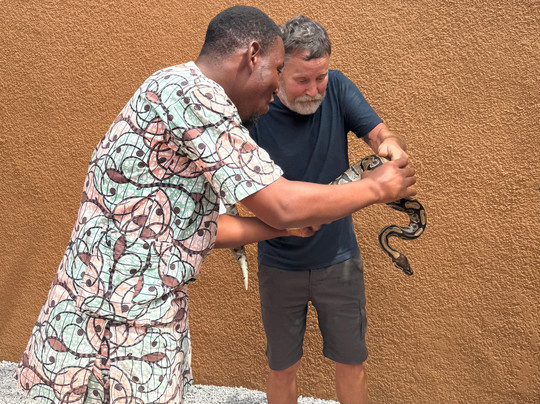 Temple des Pythons-Ouidah必去景点
